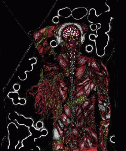 Hallucination Realized : Made Hostage to Your Psyche